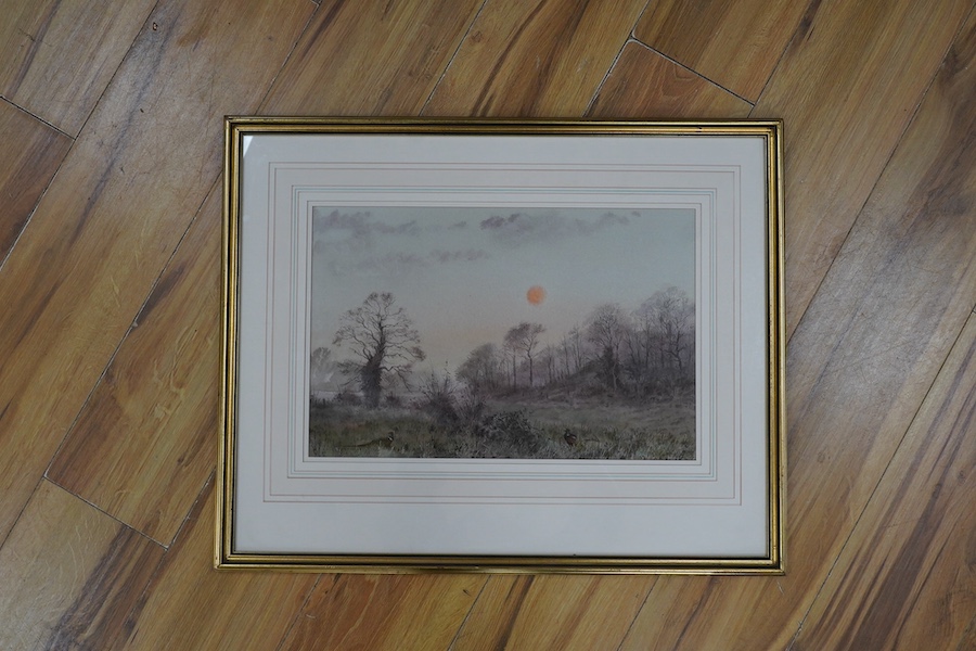 Brian Fensome (20th. C), watercolour, ‘Pheasant in winter’, 27 x 42cm. Condition - good